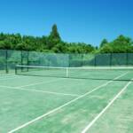 Finished Omni Court 2010 with Fencing Option